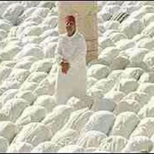 Meet your Posher, Jeffery